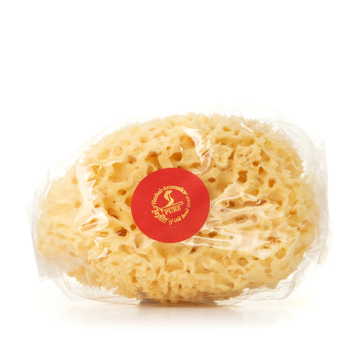 Medium Sponge 1 Medium Sponge